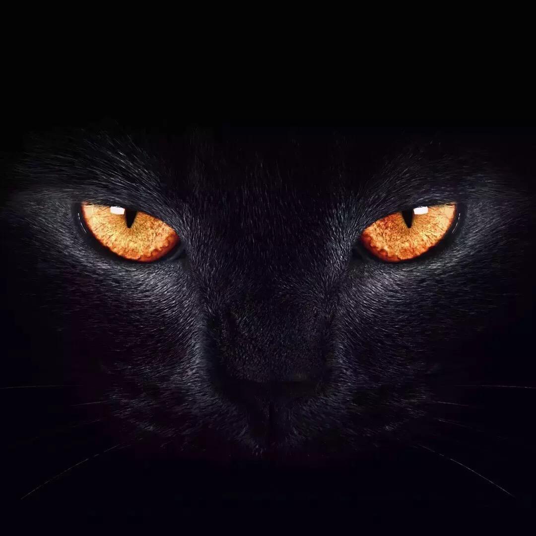 ㅤㅤ ㅤㅤ 　ㅤㅤ