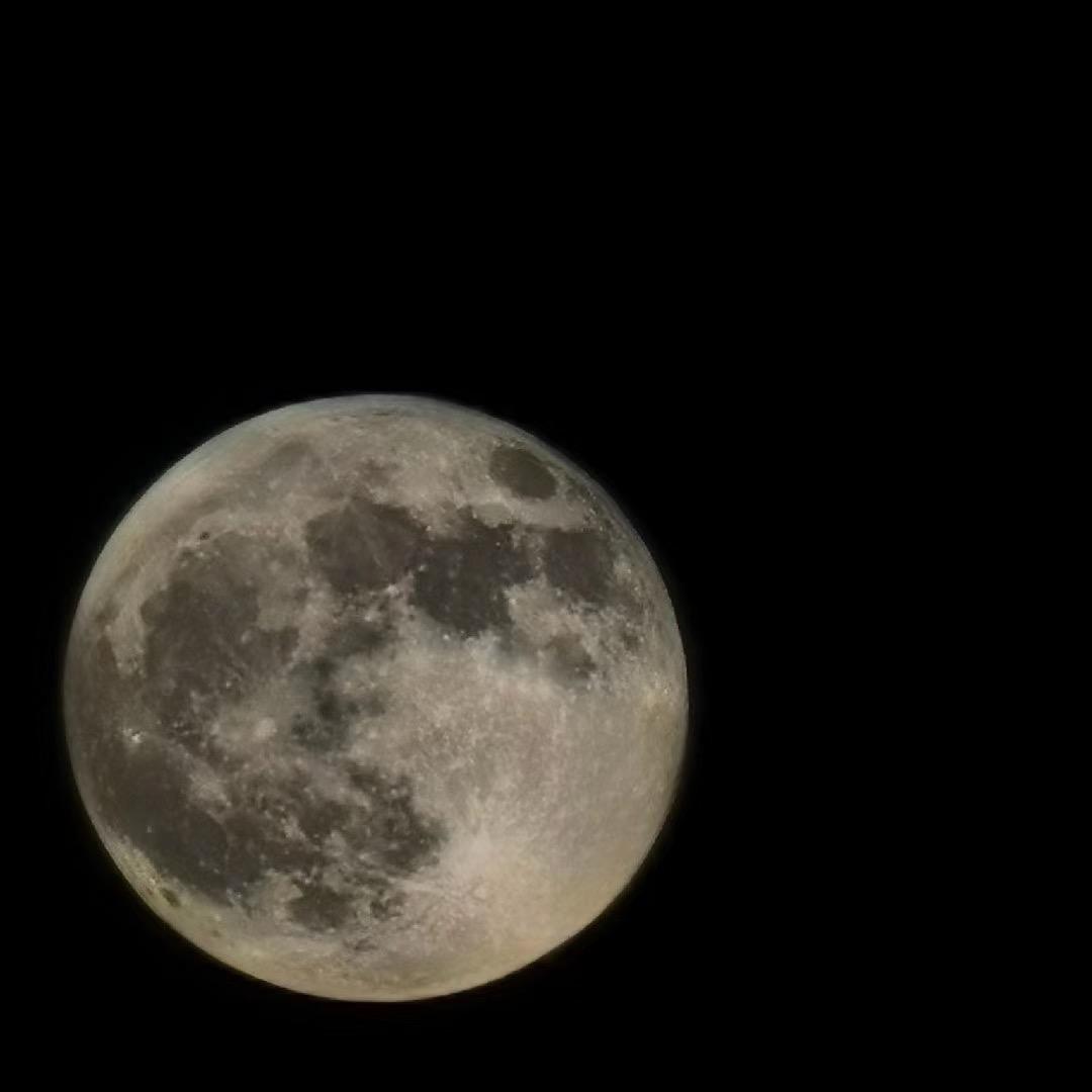翘翘的