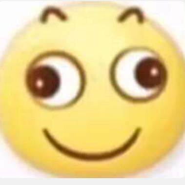 不爱喝西北风的小刘