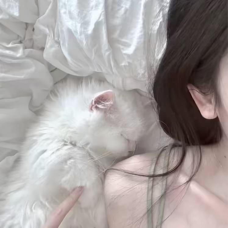 睡个好觉