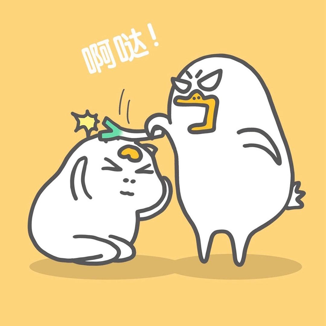 饭了个盒