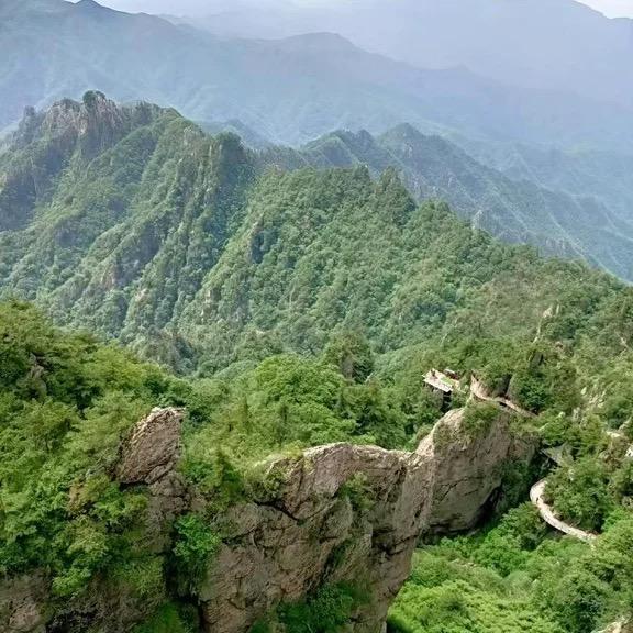 丰驰情怀