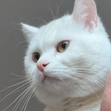 啊啊啊啊啊 阿嚏