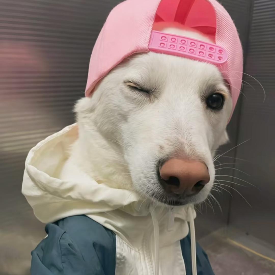 雪饼⛄️