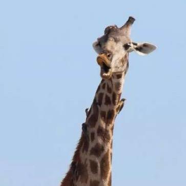 红星照我去战斗