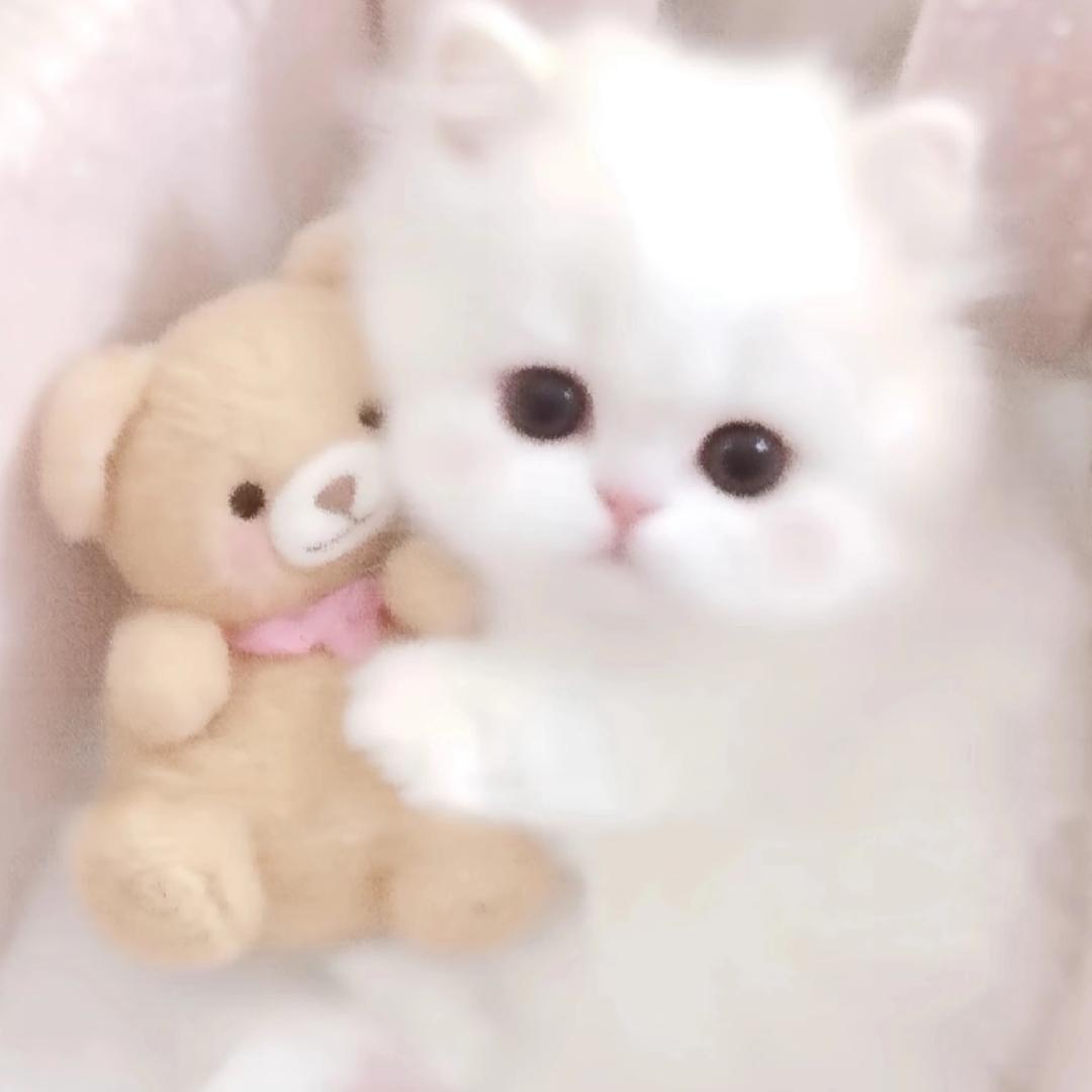 uu