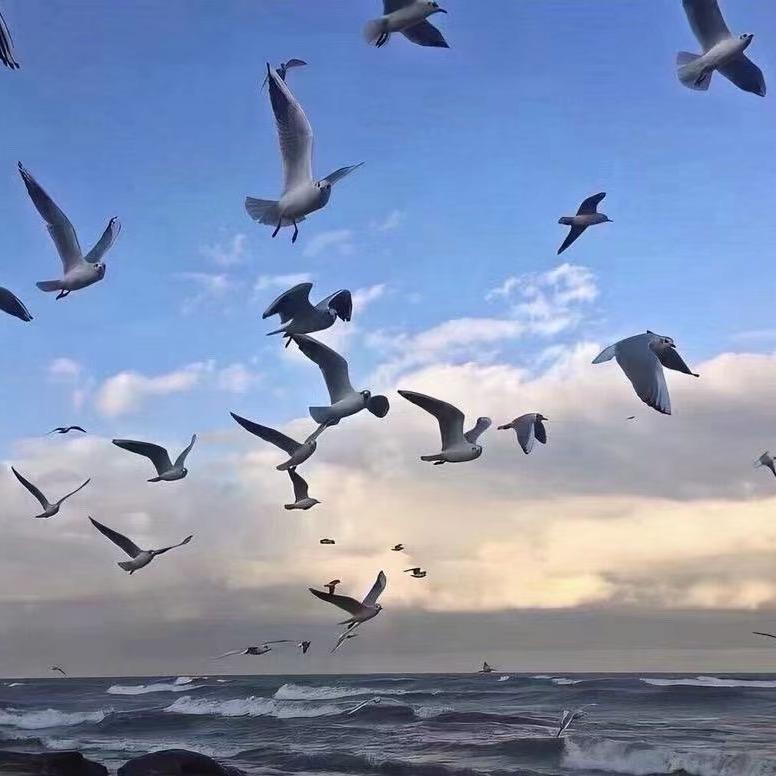 卖传动轴的金周