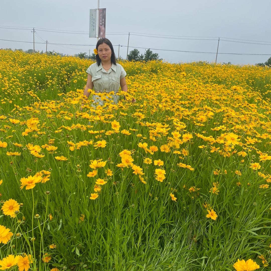 向来缘浅💞💞了（）