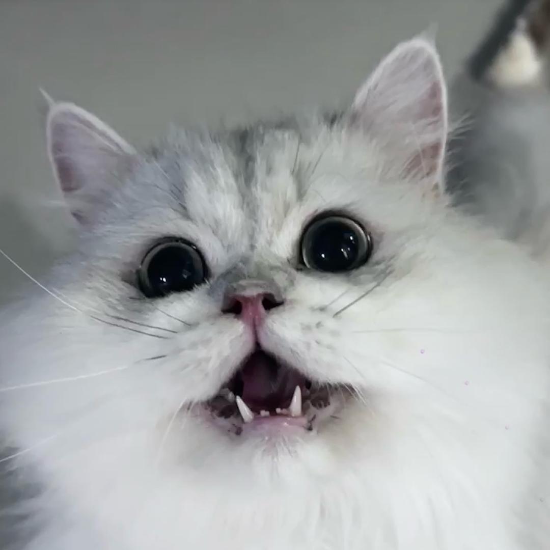 0.111111111111111111