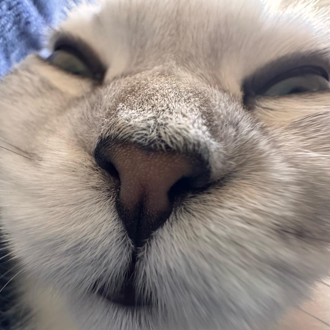 🌈就是如此幸运✨