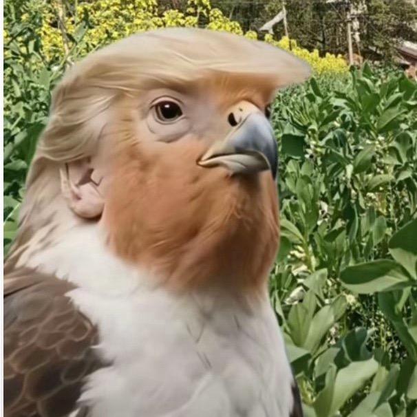 方丈