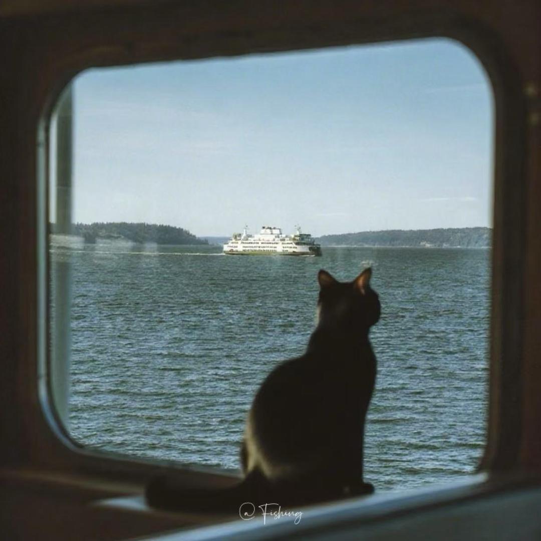 我可不爱吃青椒