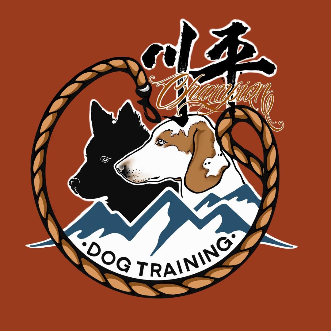 JP 川平繁驯（极品刚毛猎狐梗）