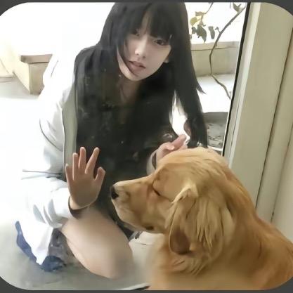 yy的后备箱