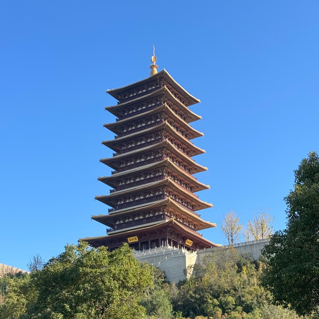 এ眼李有🌟陳 ོོ