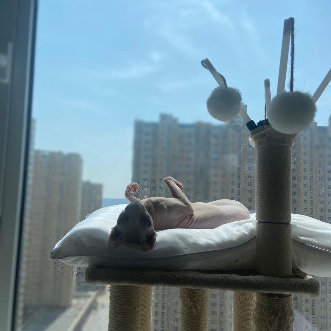 李家的小（冉冉宝贝）