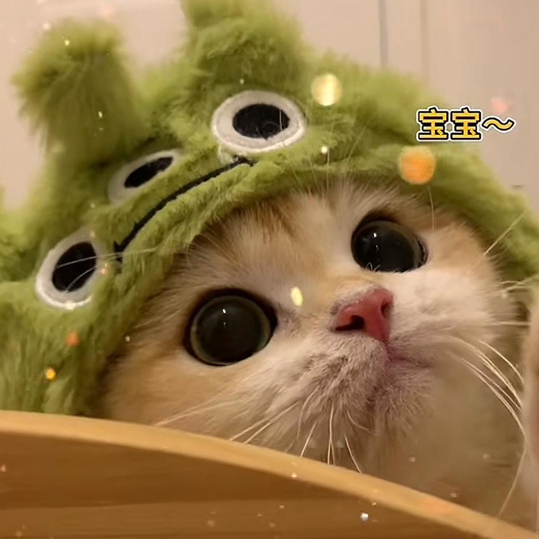 是Jason啊