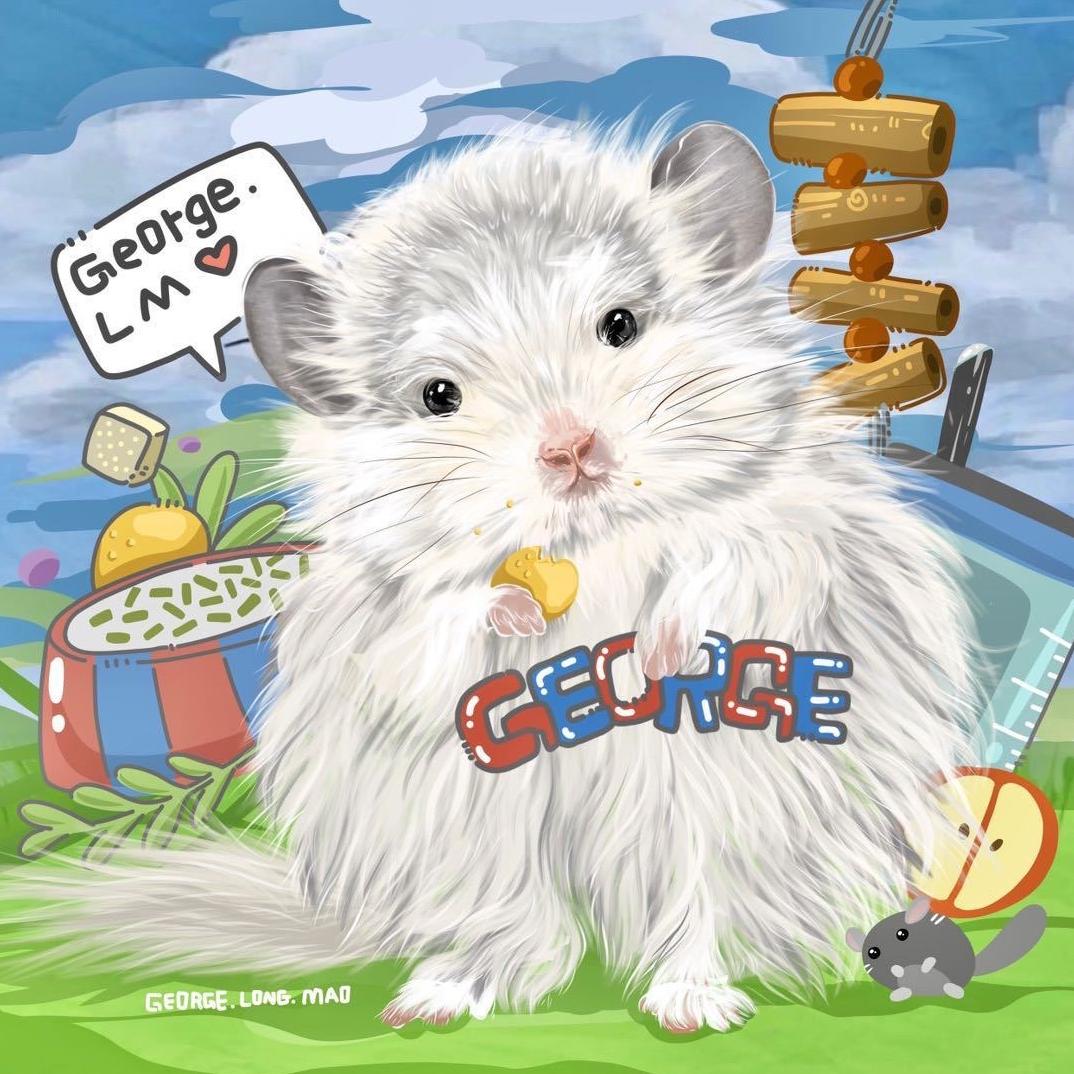 乔治的猫（元龙猫）