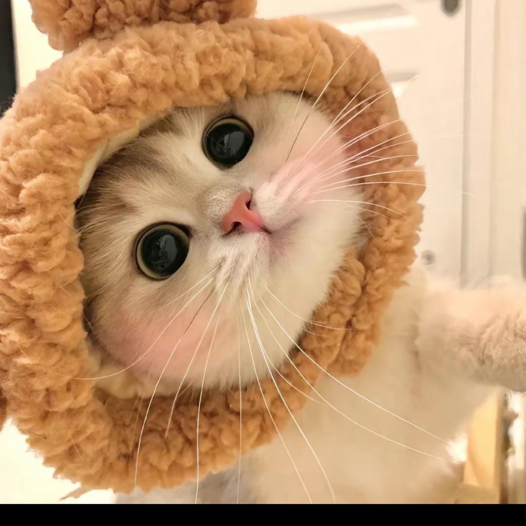 新新新新新新新