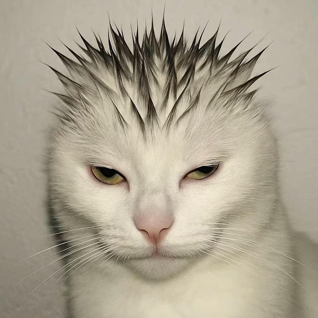u