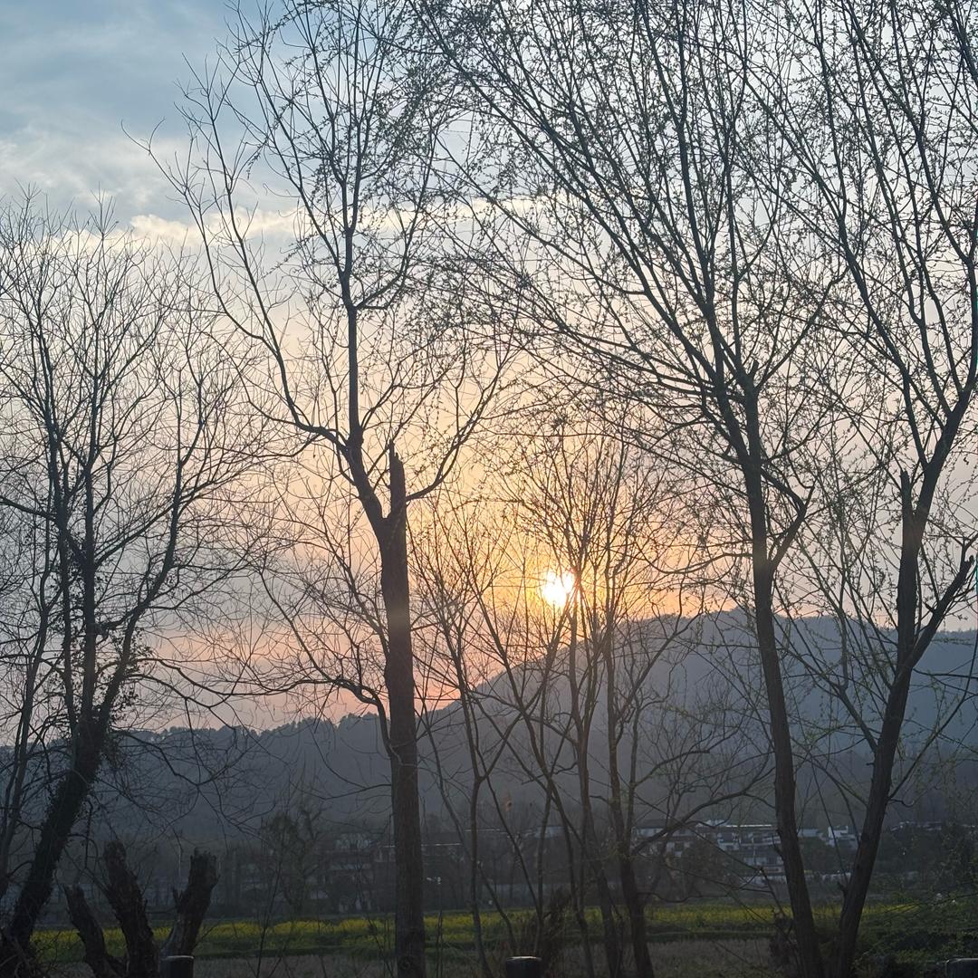 Avery百货优选☘️