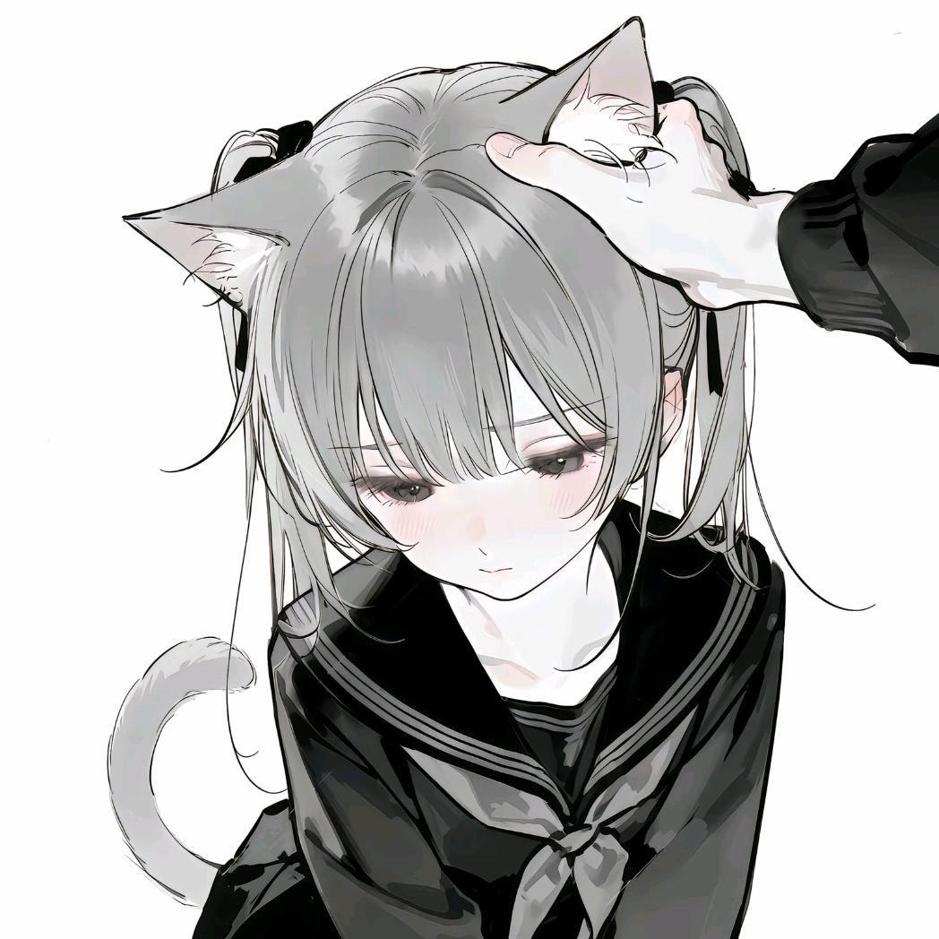 猫猫雨