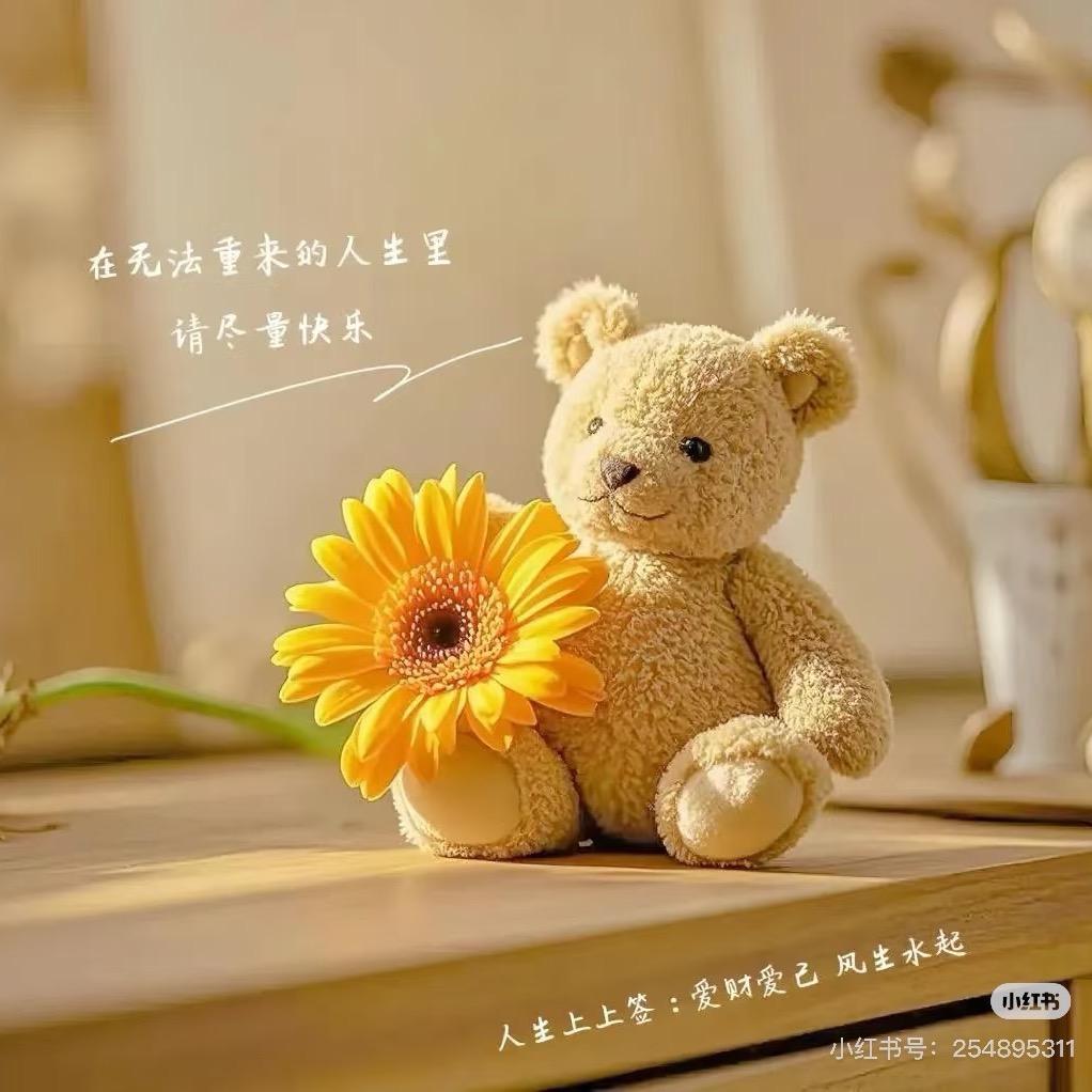散為星辰💫G