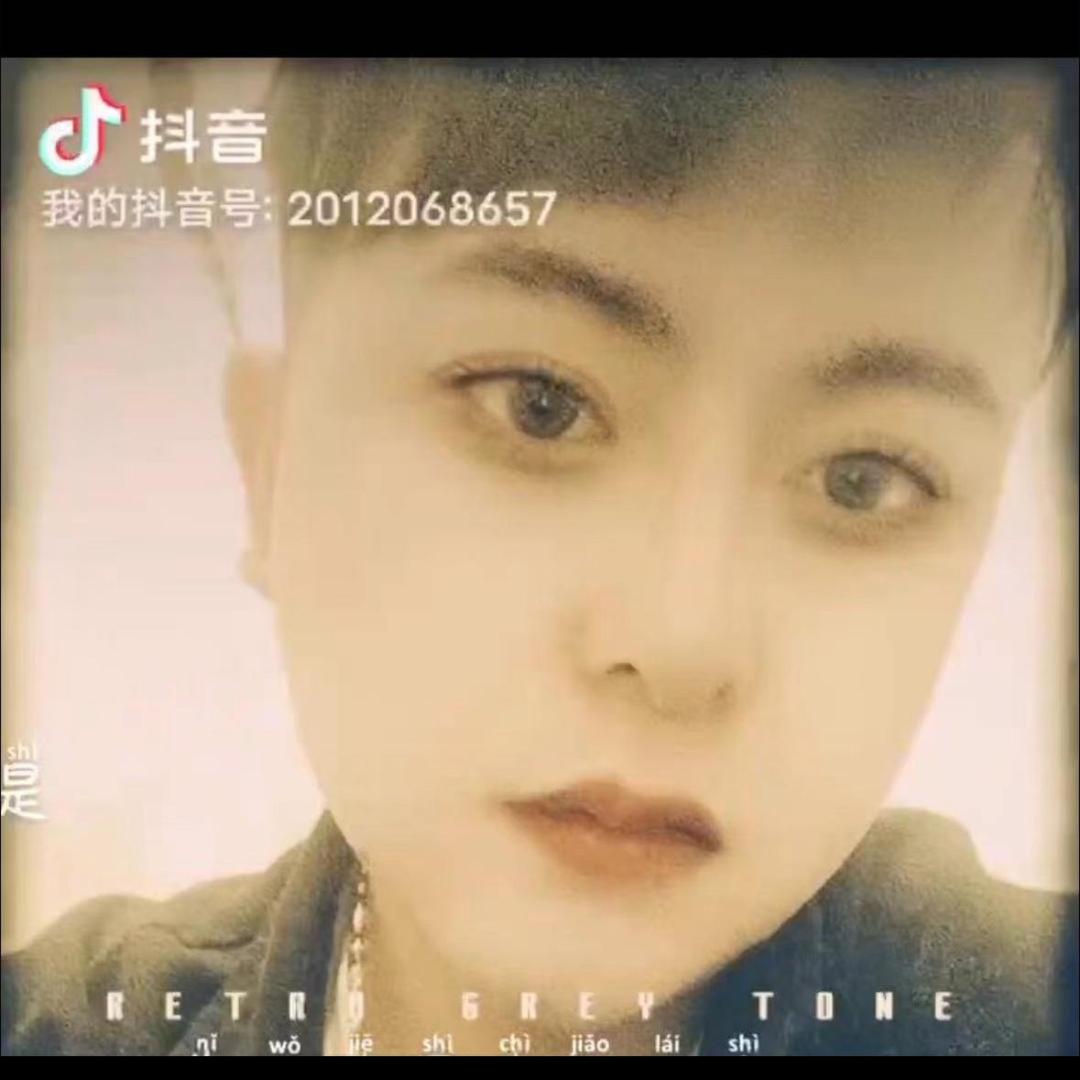 董乐乐