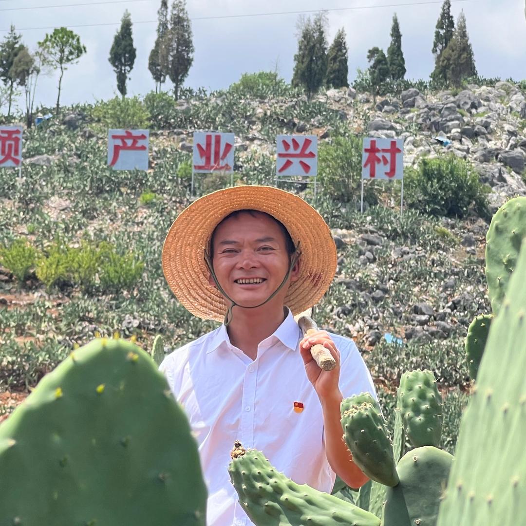 文山鲁村长