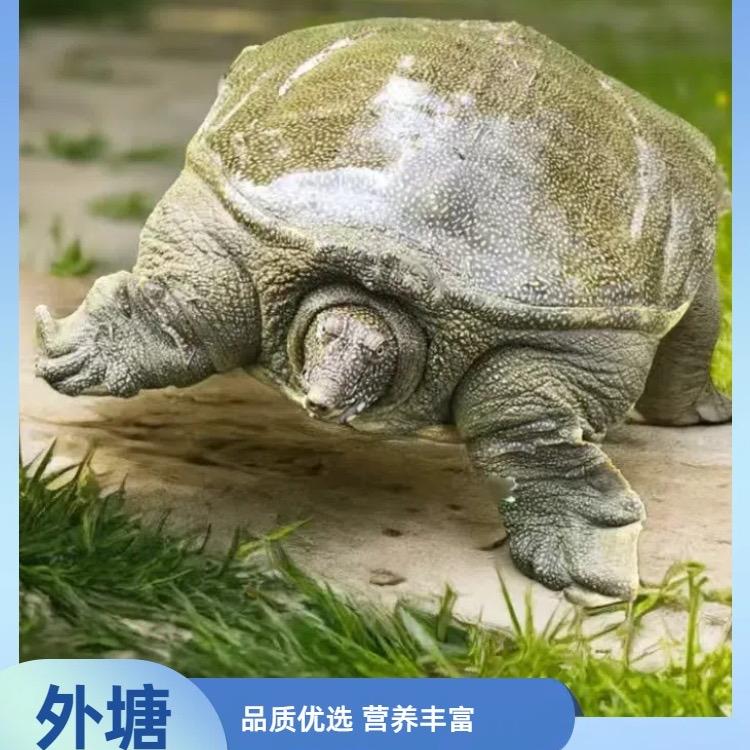 鑫源水产养殖