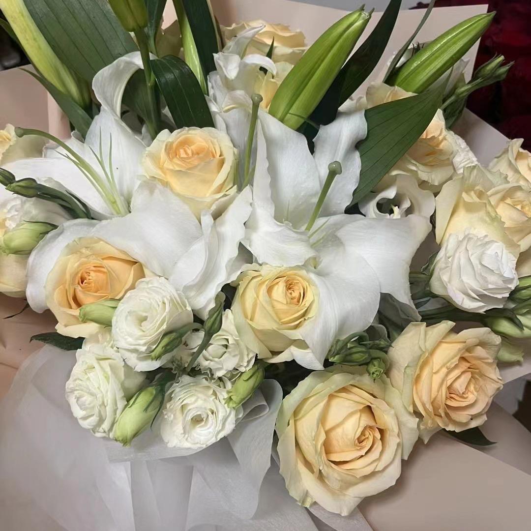 菲菲