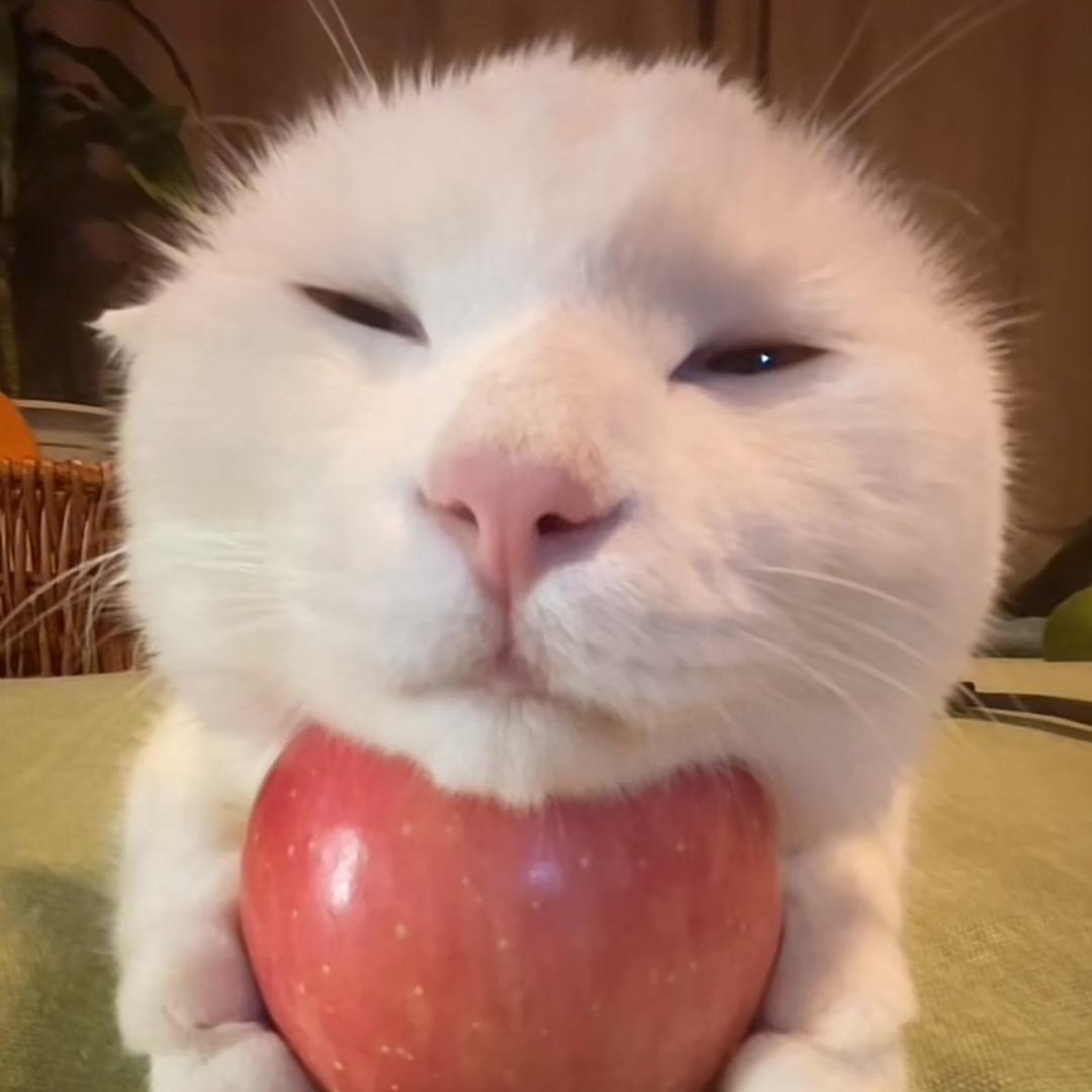 荽忄