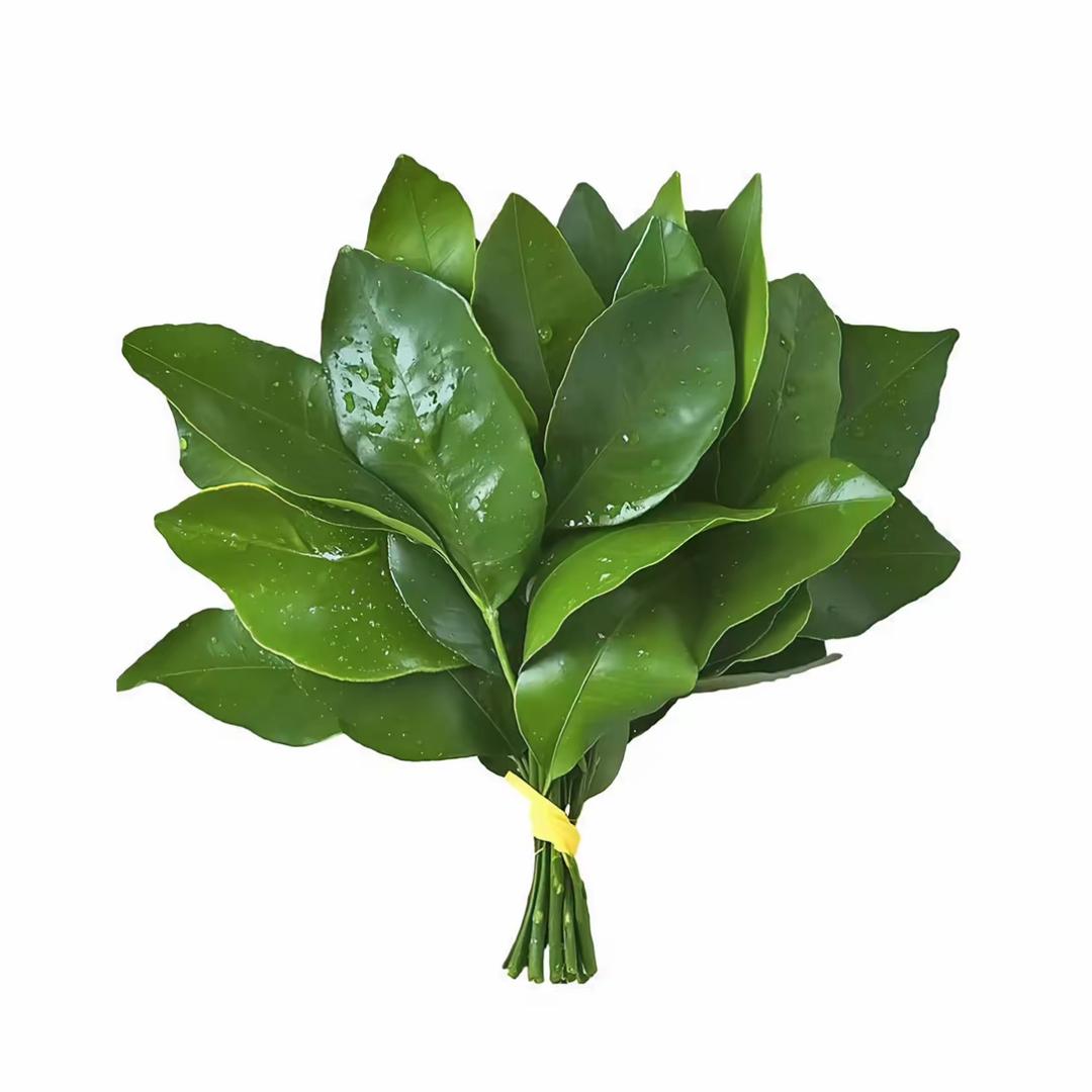 羚羊公主