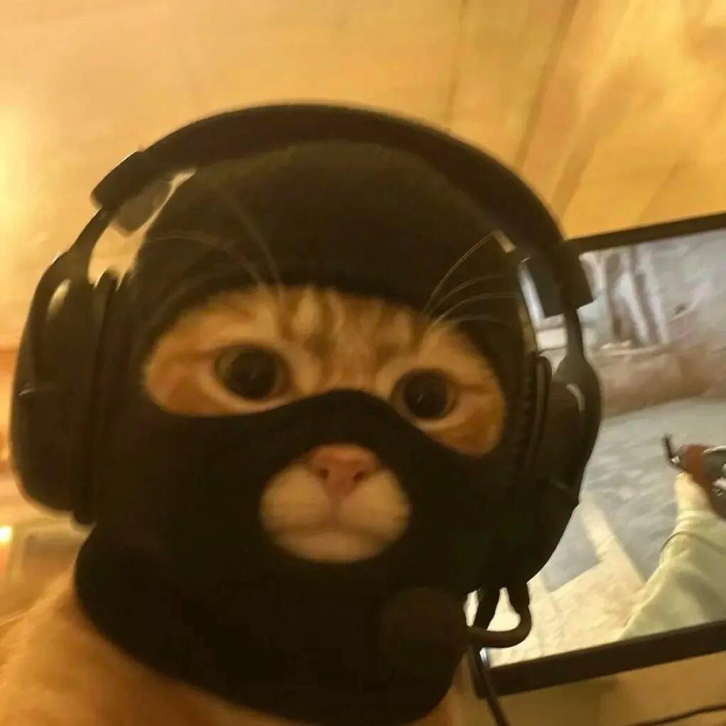 掌上明珠（微山）