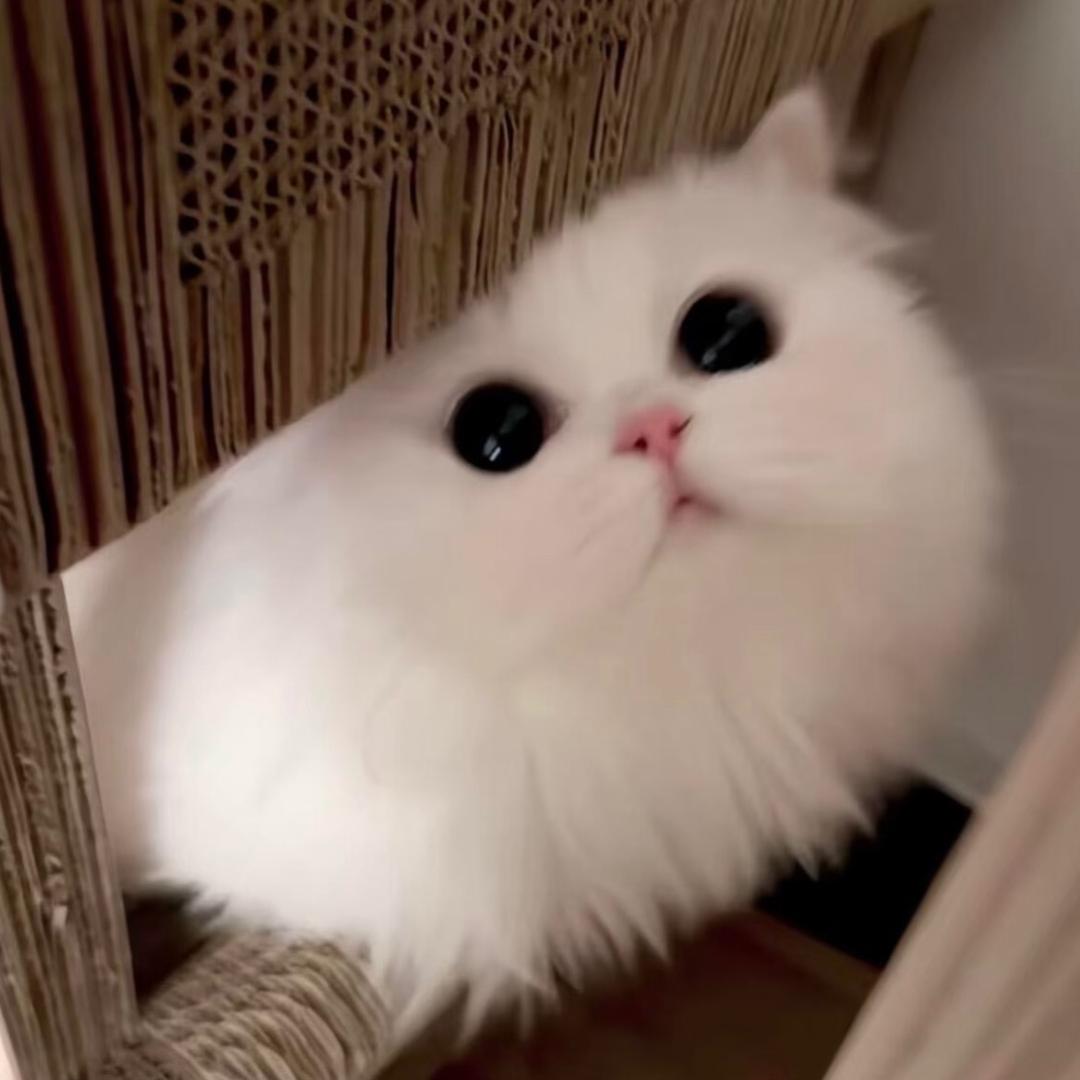 weiii