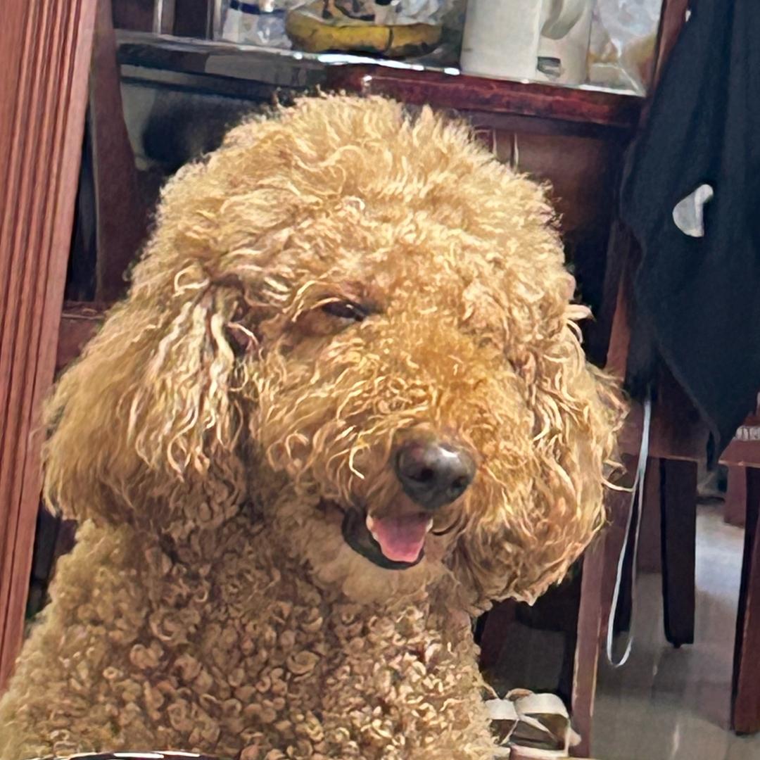 不开心和没头脑