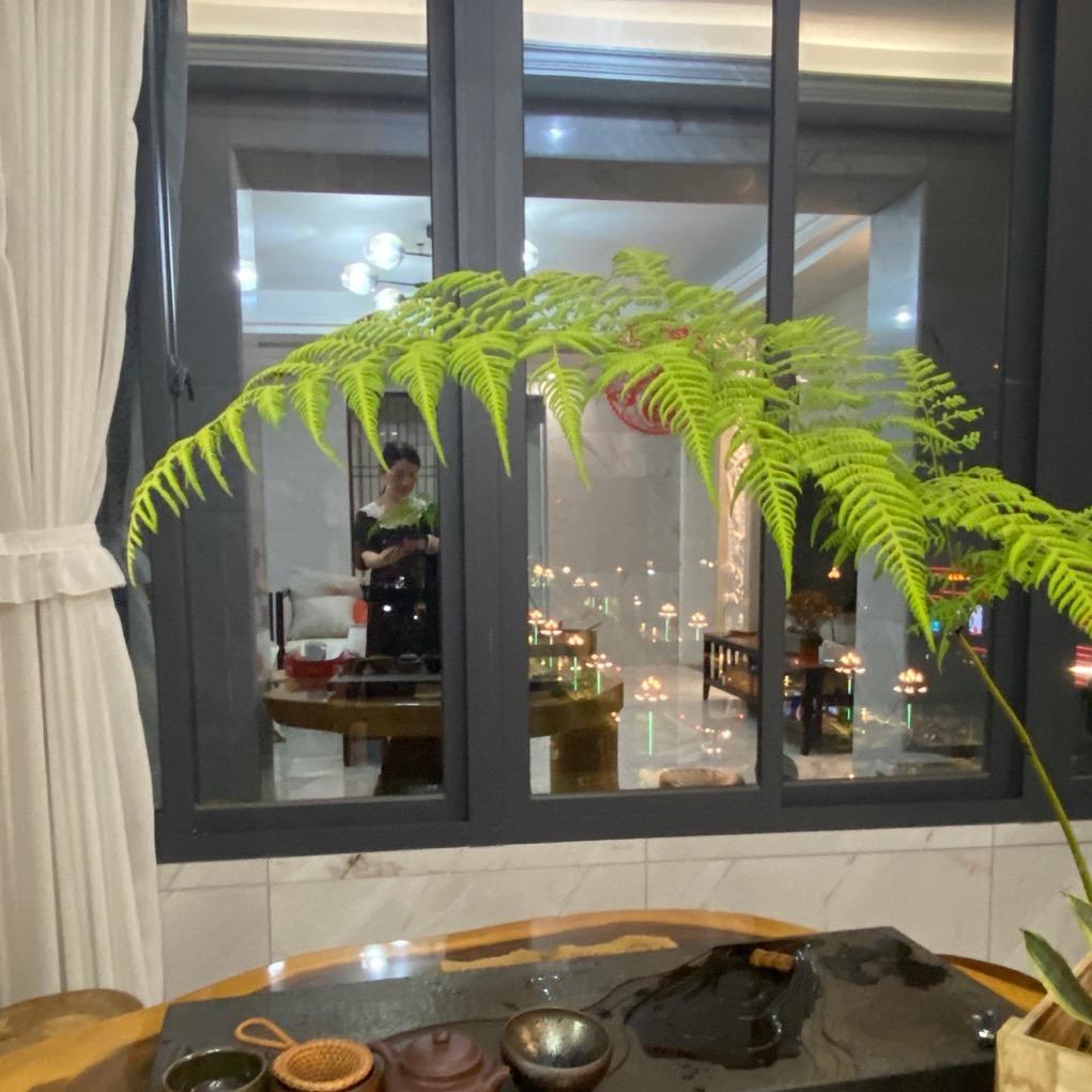 沁儿爱生活