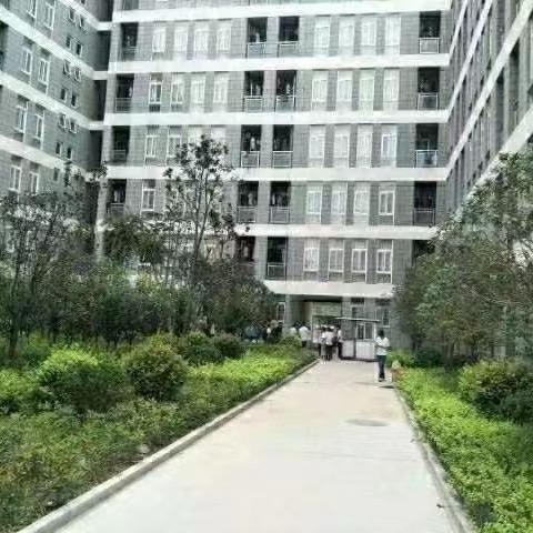 免费就业