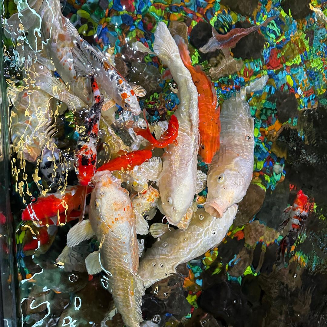 ꧁终于༒忠于꧂