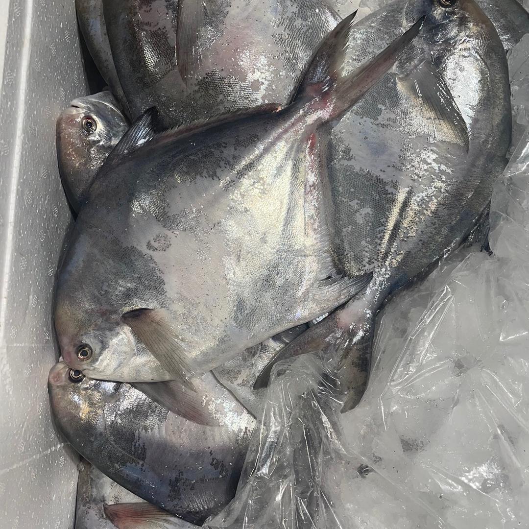 小老弟码头海鲜