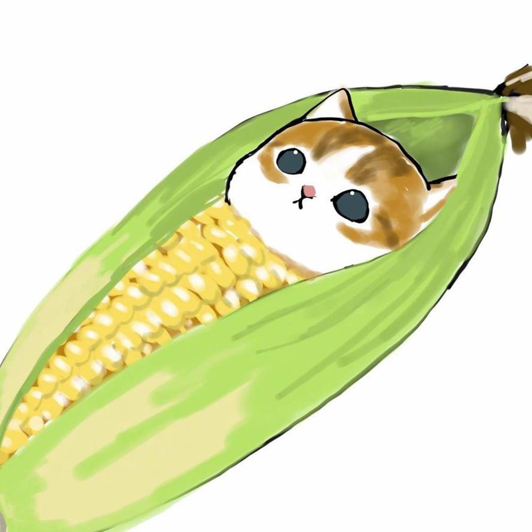 叶 子🍃
