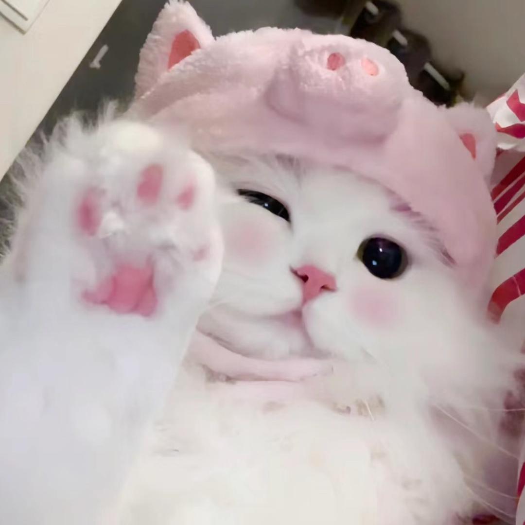 天真萌点