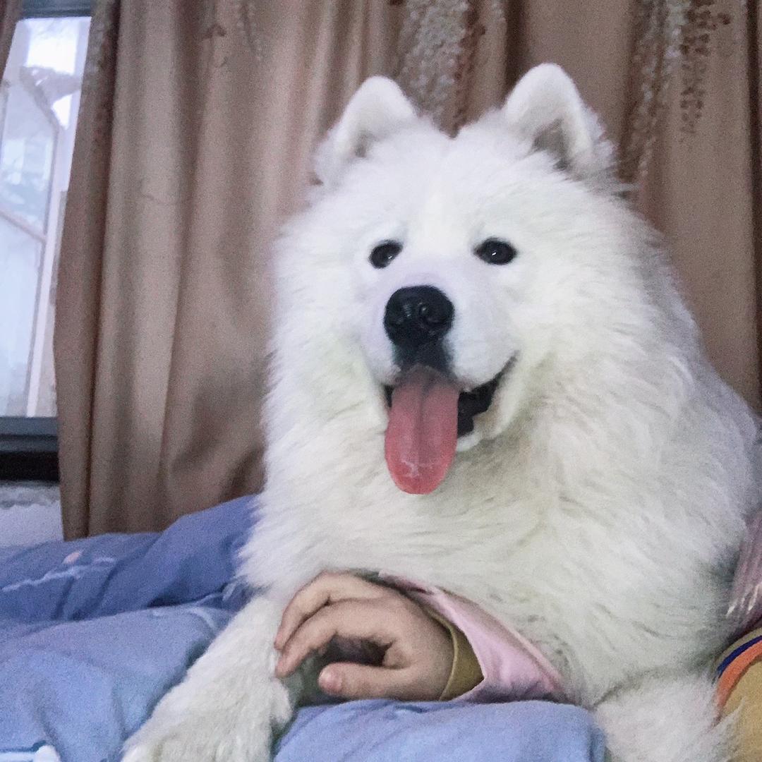 有个耶耶叫墩墩