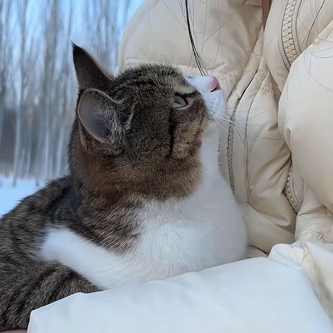 三小只🐱