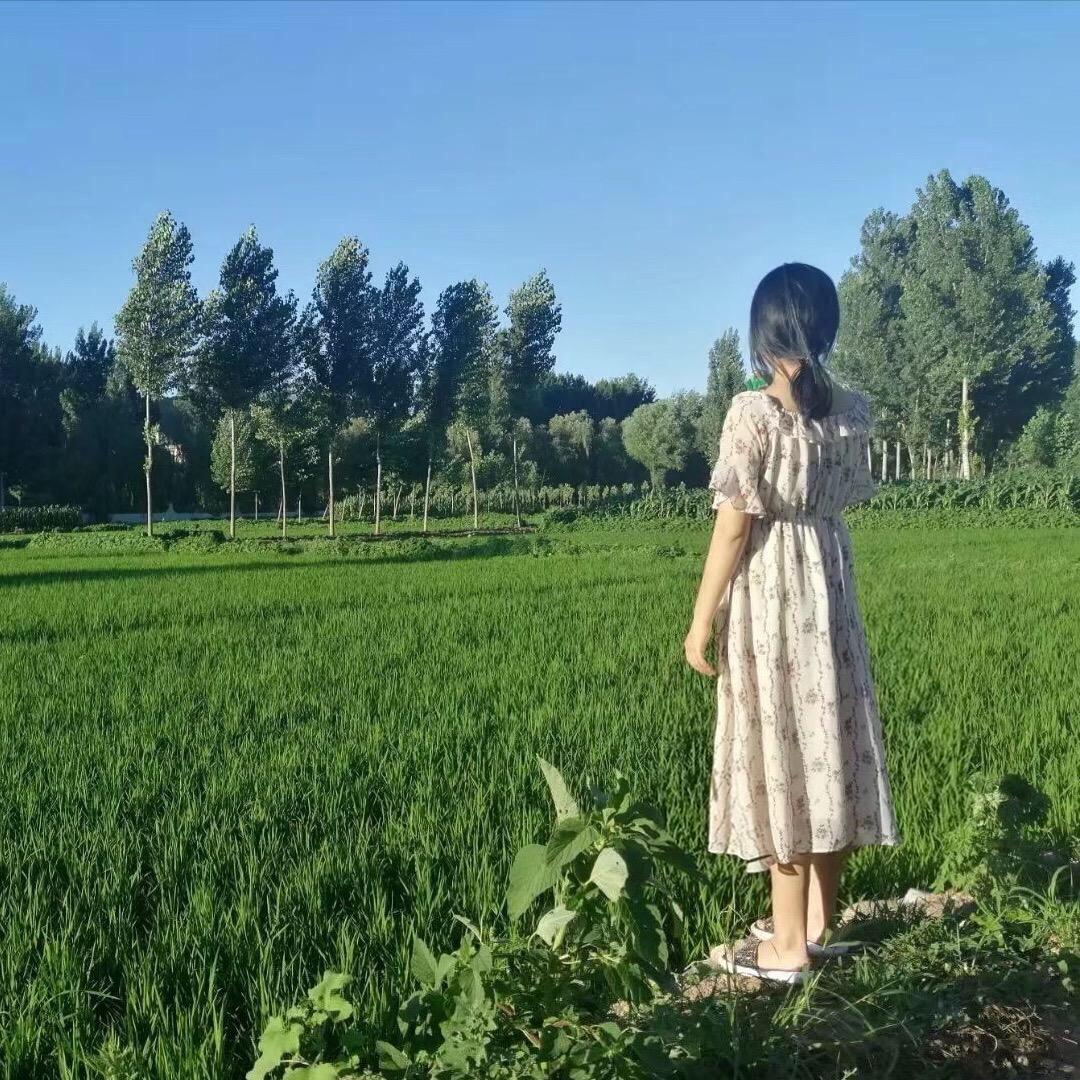 河北诚妈 🍊