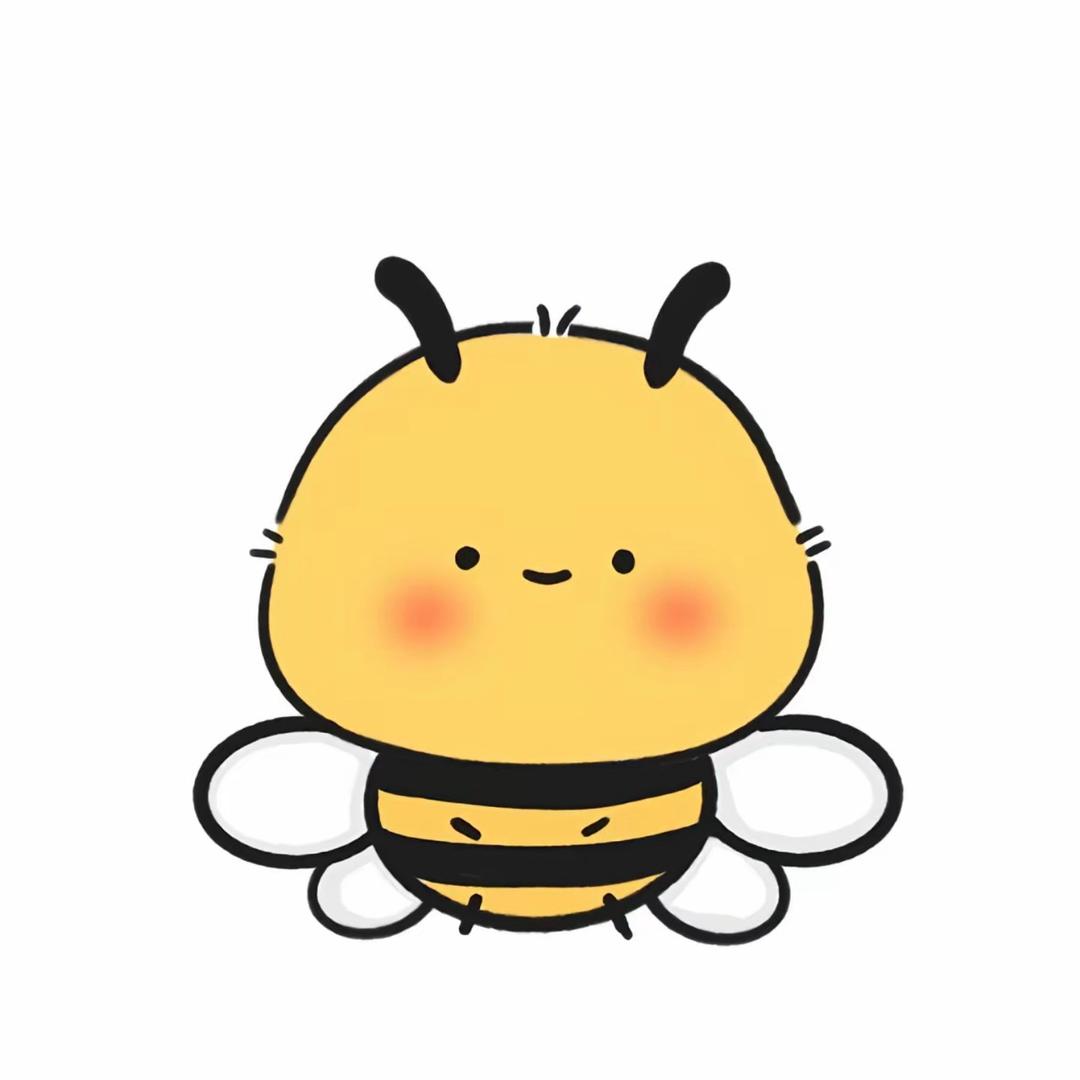 小蜜蜂🐝好物