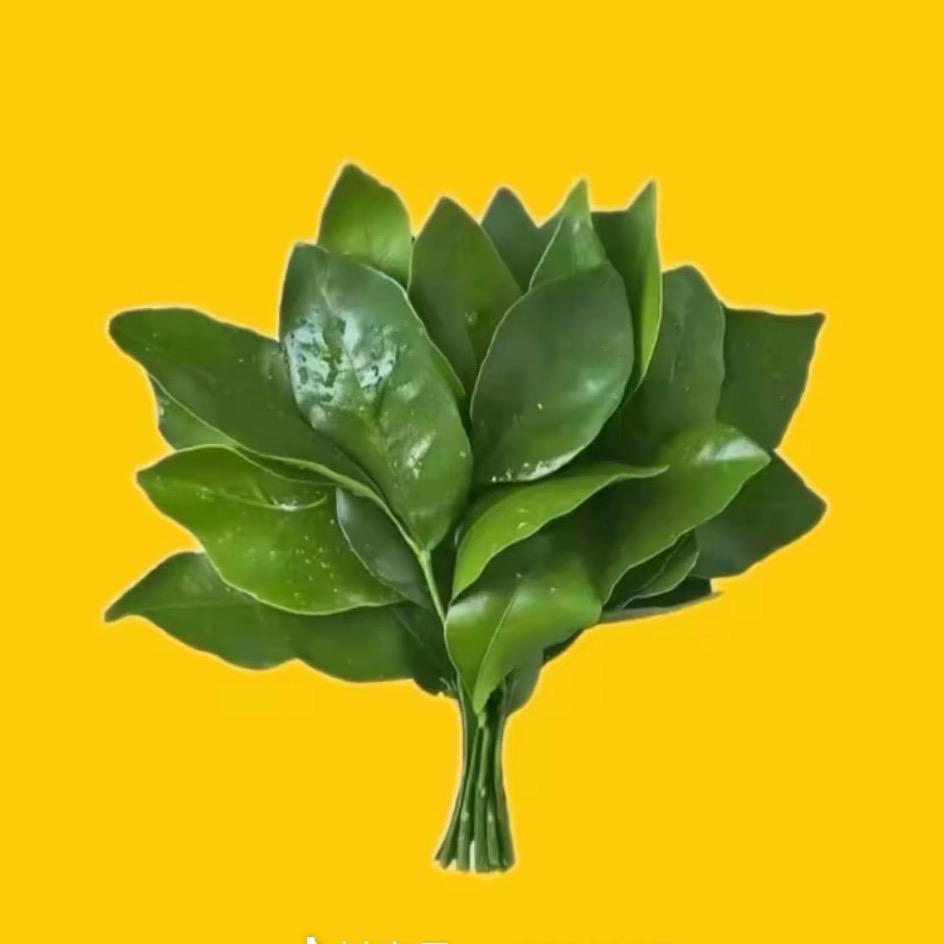 七饱啦～