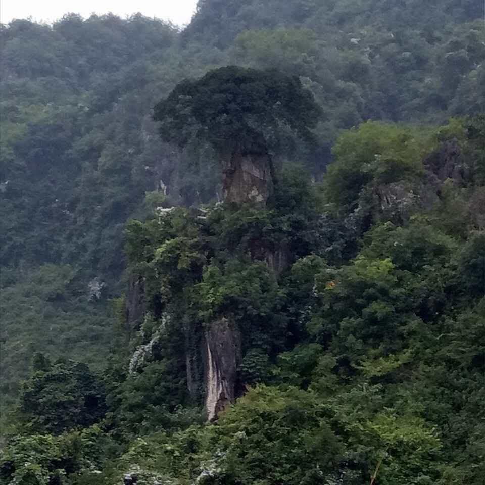 追梦人泡泡