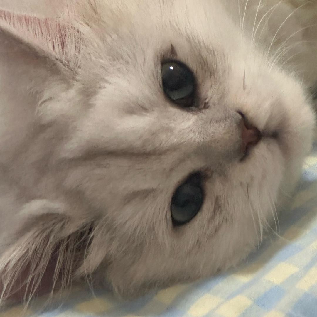 。新晋毒妇修炼中