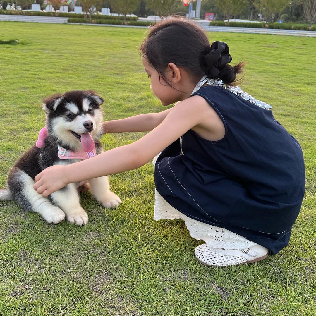 小乔妈妈👚